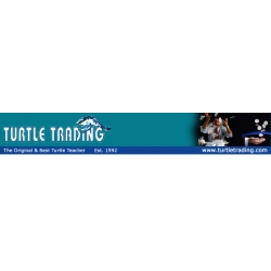 Russell Sands – Turtle Trading Concepts (Enjoy Free BONUS Scalper Forex Samurai)